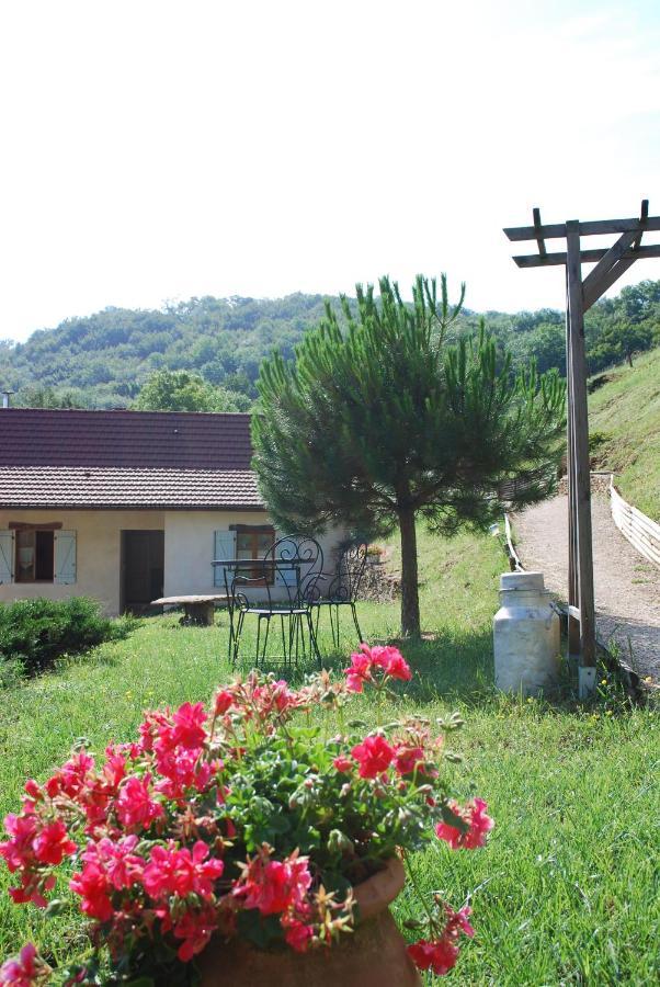 Chambres D'Hotes Soleil Et Cacao Siccieu-Saint-Julien-et-Carisieu Kültér fotó